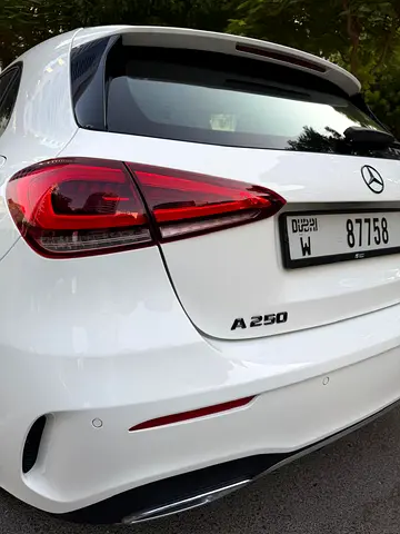 2019 Mercedes-BENZ A-CLASS 缩略图 12