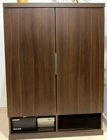 Modern Dark Wood 2-Door Shoe Cabinet with Open Bottom Shelf