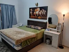 Master room available for Family or Couples tecom Barsha Heights