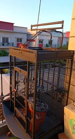 Large metal bird cage with play top — good condition