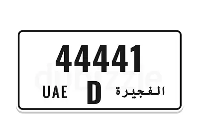 44441