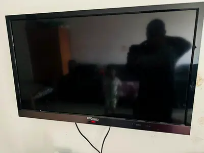 Telivision