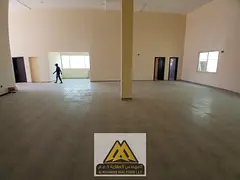Annual Rent Al Jurf Industrial 2 Showroom 196sqm 2110sqft 150k 4 Payments