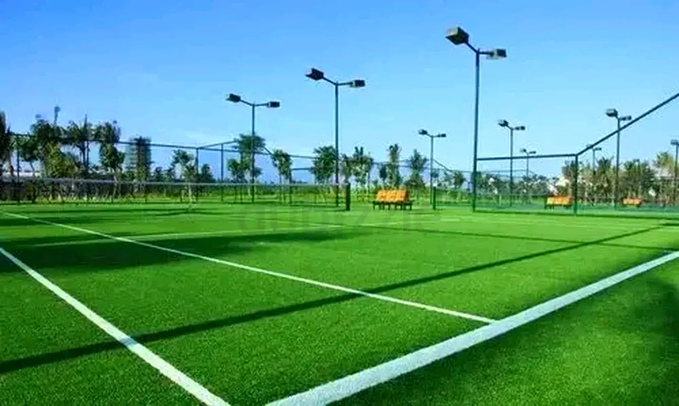 DPV_View_Image_6