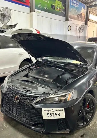 2010 Lexus IS-SERIES 照片 3