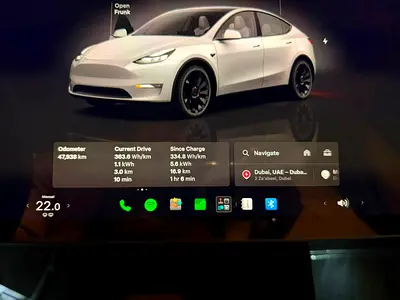 2024 Tesla MODEL Y 照片 4