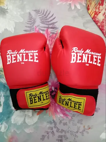 12 Oz Boxing gloves never used