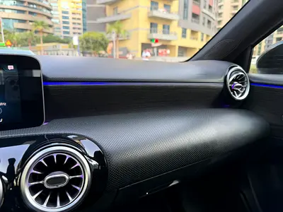 2019 Mercedes-BENZ A-CLASS 缩略图 13