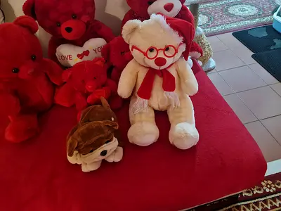 Set of 4 Red Plush Teddy Bears - Good Condition