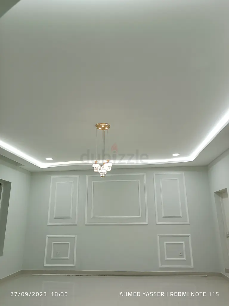 DPV_View_Image_4