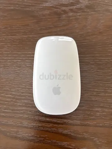 Magic mouse 1