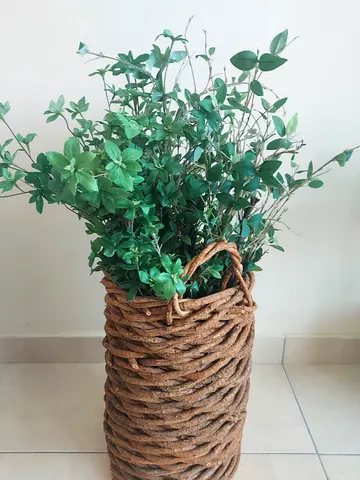 Artificial Plant