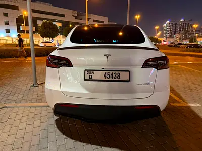 2024 Tesla MODEL Y 照片 2
