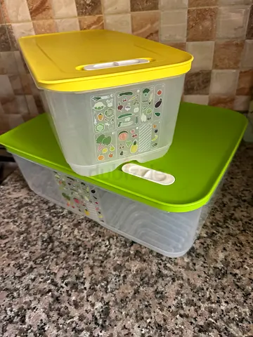 tupperware vegetables keeper box