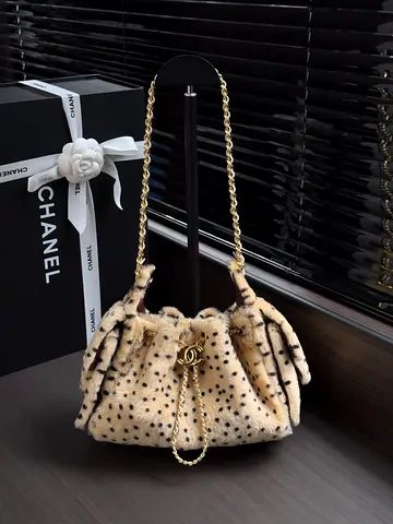 Chanel 25 Mini Hobo bag
