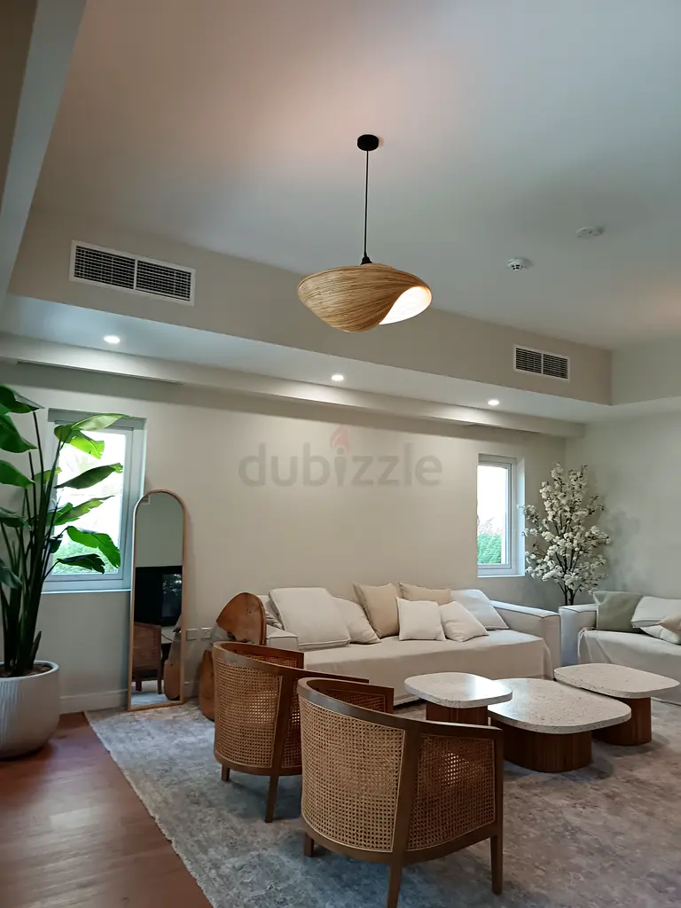 DPV_View_Image_4