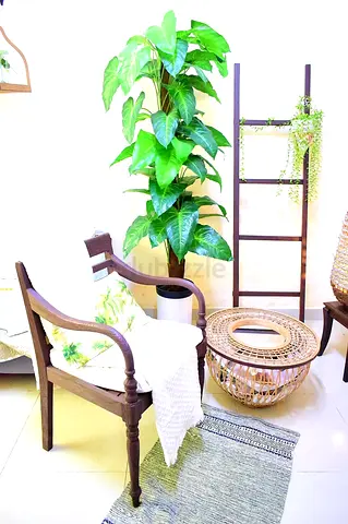 Wooden ladder with artificial plant