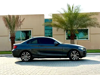 2016 BMW 2-SERIES 照片 3