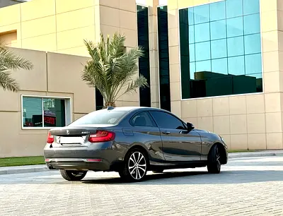 2016 BMW 2-SERIES 照片 2
