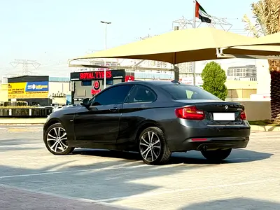 2016 BMW 2-SERIES 照片 13
