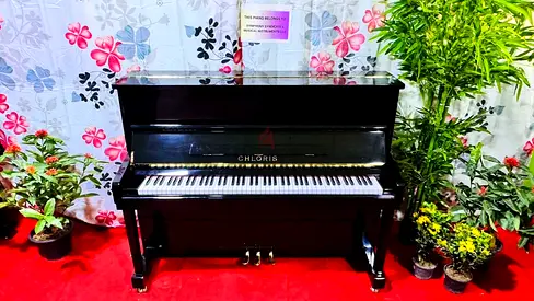 Brand New Piano Height 118 Compact Design