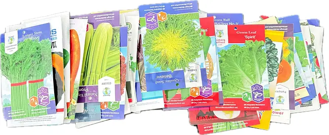 50+ Mixed Vegetable & Herb Seed Packets - Assorted Varieties