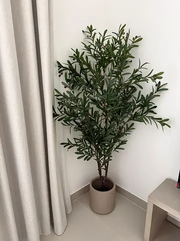 Artificial Olive Tree 170 cm with Pot | Brand New