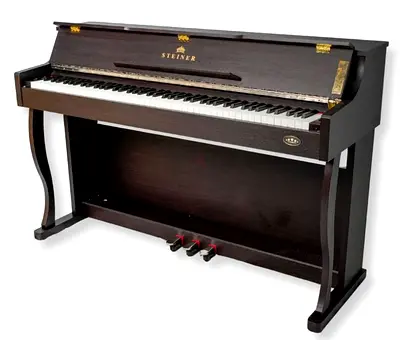 Steiner Piano - Dark Wood, 88 Keys, Good Condition