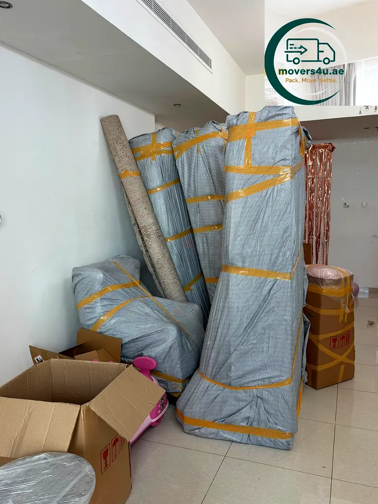 DPV_View_Image_2