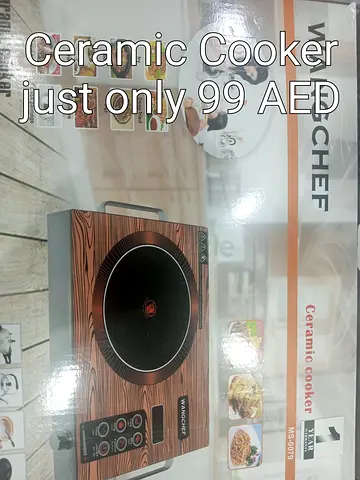 Portable Ceramic Electric Cooker — Single Burner, Like New