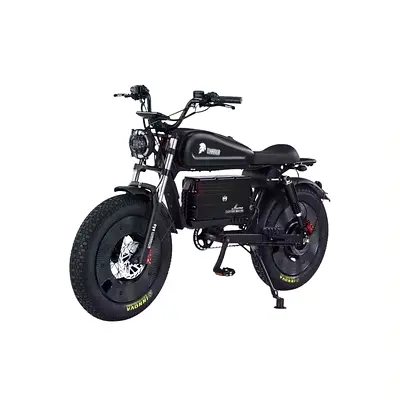 Worrier Retro Fat Electric bike 48V 15Ah 1500W Cost