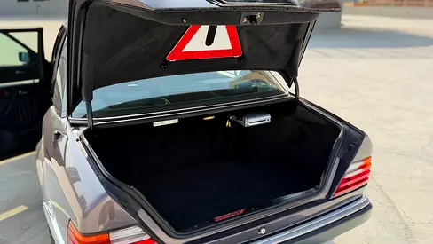 1993 Mercedes-BENZ E-CLASS — миниатюра 19