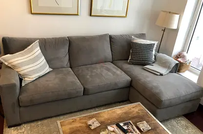 Crate and Barrel Axis model lshape sofa