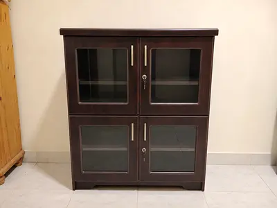 Display Cabinet with Glass Doors