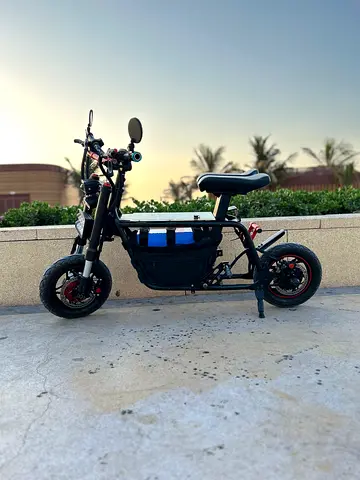 Fiido 60v 1500 Motor New built Battery