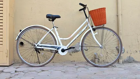 Cruiser bike Japan import Free delivery used refurbished 100% working with basket and soft seat