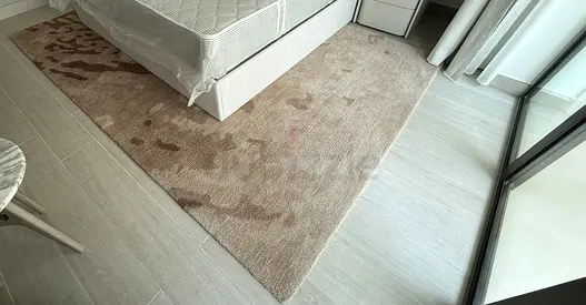 Brand New Large Rug | 200 × 300 cm