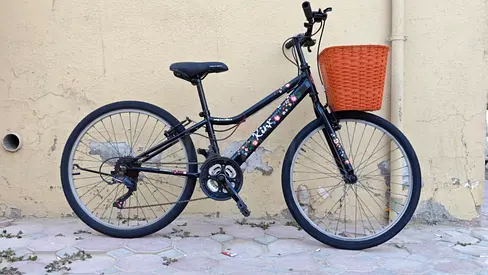 Cruiser bike size 24 Japan import Free delivery refurbished 100% working with basket and soft seat
