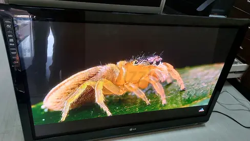 LG TV 50"