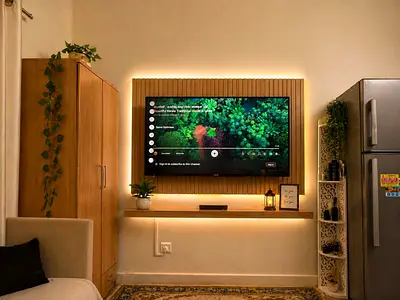 TV
