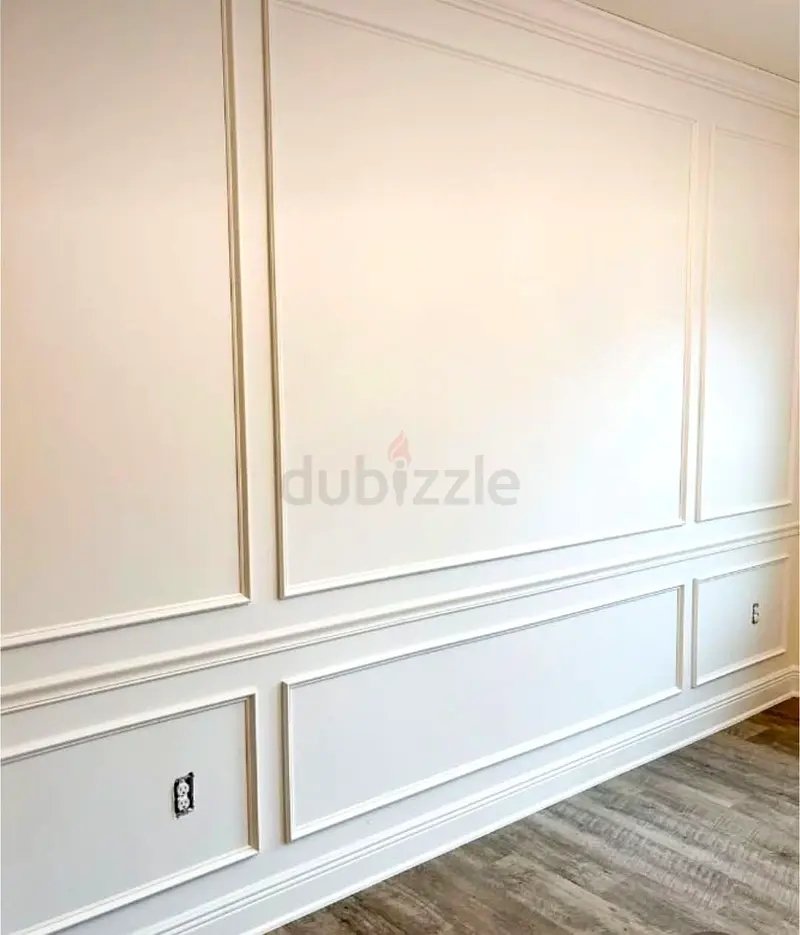 DPV_View_Image_0