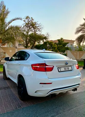 2014 BMW X6 缩略图 9