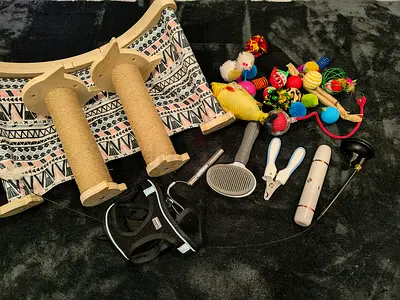 Mixed cat accessories bundle — scratchers, toys, grooming kits, harness
