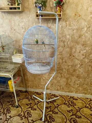 Bird cage for sell
