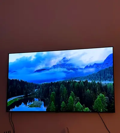 LG TV OLED 65" with 1 year warranty