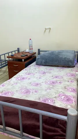 Executive Bachelor Bed Space Available – AED 600/Month