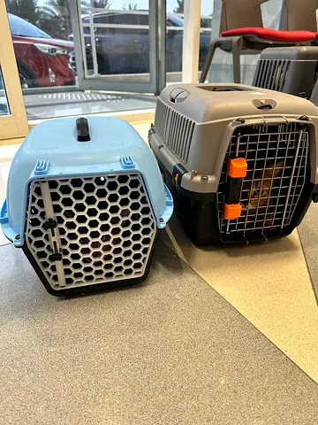 Cat cage