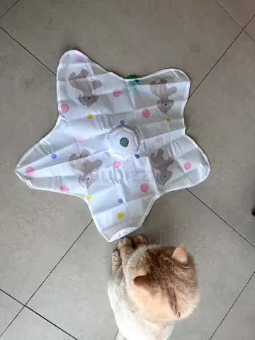 Interactive Cat Toy for Indoor Cats, Rechargeable Automatic Cat Play Mat with 3 Modes