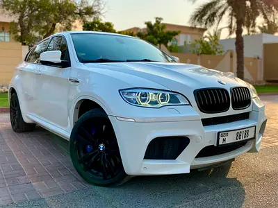 2014 BMW X6 缩略图 2