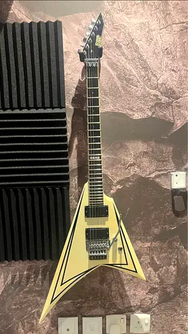 ESP Standard Series 2008